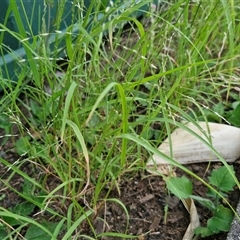 Unverified at suppressed - suppressed