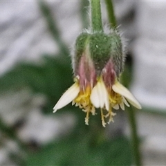 Unverified at suppressed - suppressed