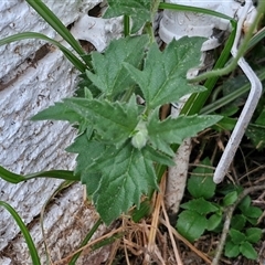 Unverified at suppressed - suppressed