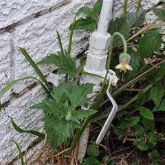 Unverified at suppressed - suppressed