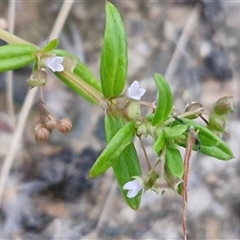 Unverified at suppressed - suppressed