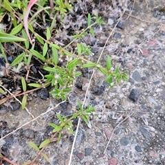 Unverified at suppressed - suppressed