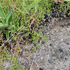 Unverified at suppressed - suppressed