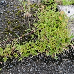 Unverified at suppressed - suppressed