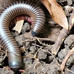 Unverified at suppressed - suppressed