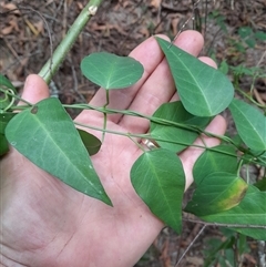 Unverified at suppressed - suppressed