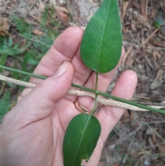 Unverified at suppressed - suppressed