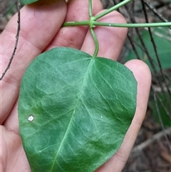 Unverified at suppressed - suppressed