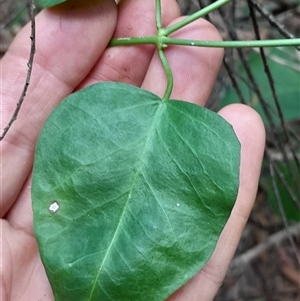 Unverified at suppressed - suppressed