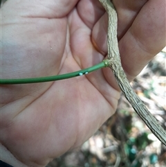 Unverified at suppressed - suppressed