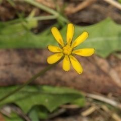 Unidentified at suppressed - 18 Jan 2024