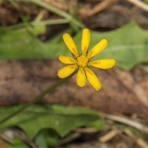 Unidentified at suppressed - 18 Jan 2024