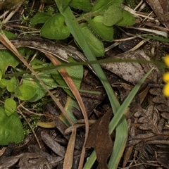 Unverified at suppressed - suppressed