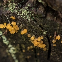 Unverified at suppressed - suppressed