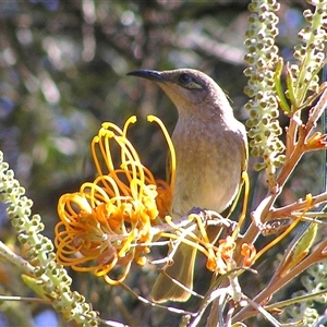 Unidentified at suppressed - 5 May 2005