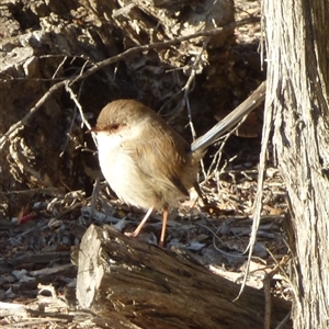 Unidentified at suppressed - 29 Jun 2024