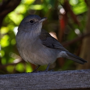 Unidentified at suppressed - 15 Oct 2014