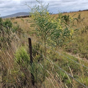 Unidentified at suppressed - 8 Jan 2025