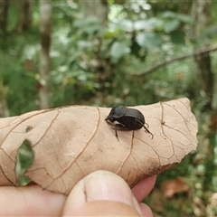 Unidentified at suppressed - 8 Jan 2025