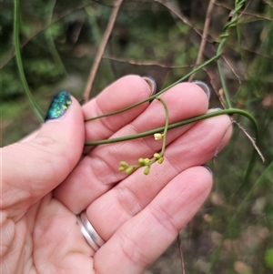 Unidentified at suppressed - 8 Jan 2025