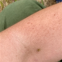 Unverified at suppressed - suppressed