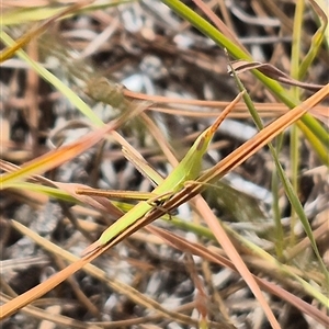 Unidentified at suppressed - 9 Jan 2025