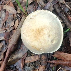 Unverified at suppressed - suppressed