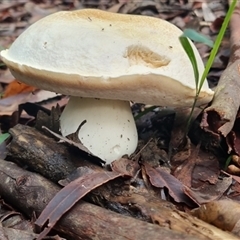 Unverified at suppressed - suppressed