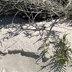 Unverified at suppressed - suppressed