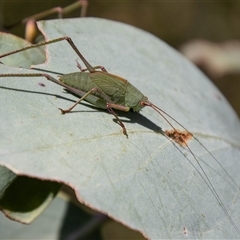 Unidentified at suppressed - 3 Jan 2025