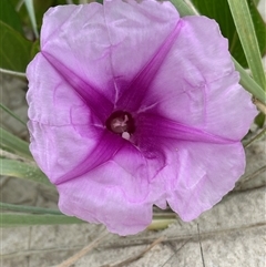 Unverified at suppressed - suppressed