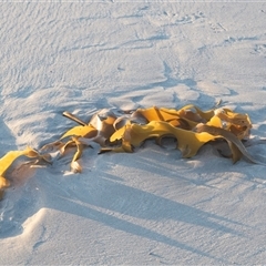 Unverified at suppressed - suppressed