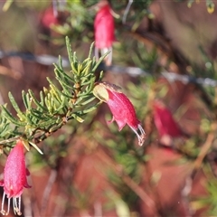 Unverified at suppressed - suppressed