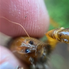 Unverified at suppressed - suppressed