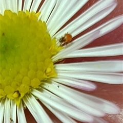 Unverified at suppressed - suppressed