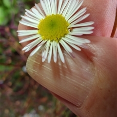 Unverified at suppressed - suppressed