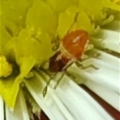 Unverified at suppressed - suppressed