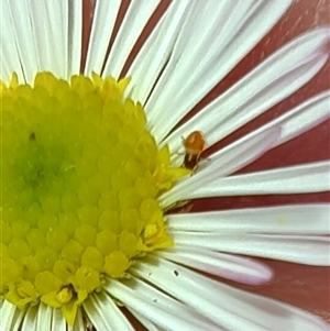 Unverified at suppressed - suppressed