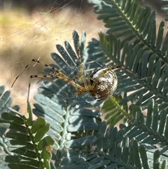 Unverified at suppressed - suppressed