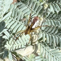 Unverified at suppressed - suppressed