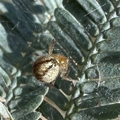 Unverified at suppressed - suppressed