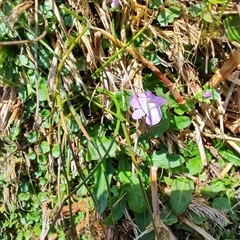 Unverified at suppressed - suppressed