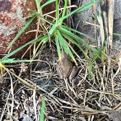 Unverified at suppressed - suppressed