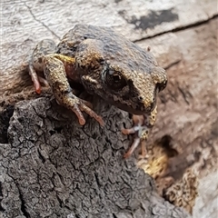 Unverified at suppressed - suppressed