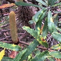 Unverified at suppressed - suppressed