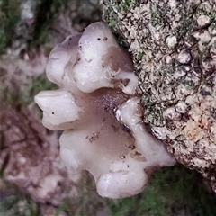 Unverified at suppressed - suppressed