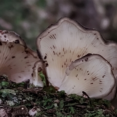 Unverified at suppressed - suppressed