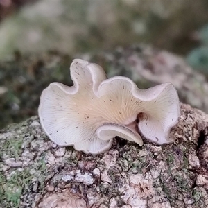 Unverified at suppressed - suppressed