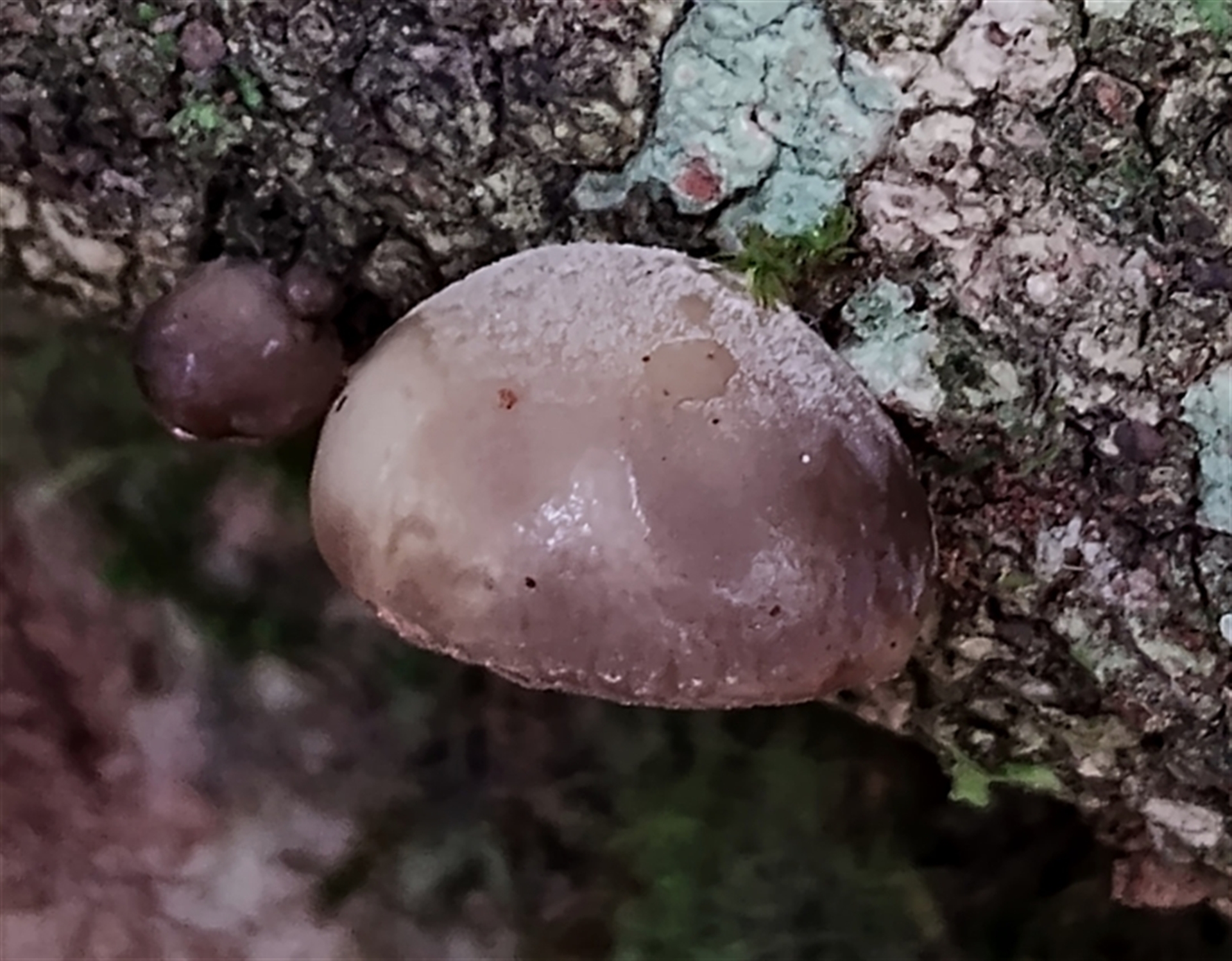 Unverified at suppressed - suppressed