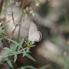 Unidentified at suppressed - 15 Jan 2025